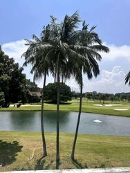Sentosa Cove (D4), Detached #574568561